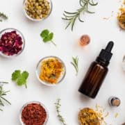 plantes contre le diabète