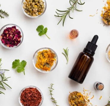 plantes contre le diabète